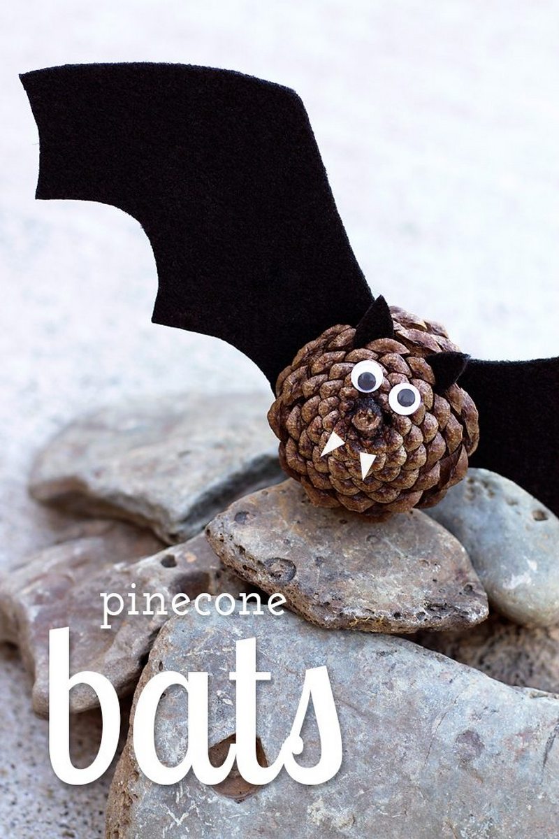 20 Easy Pinecone Bats