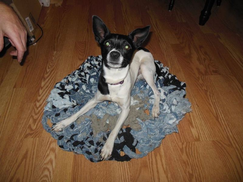 6 Crocheted Braided Rug