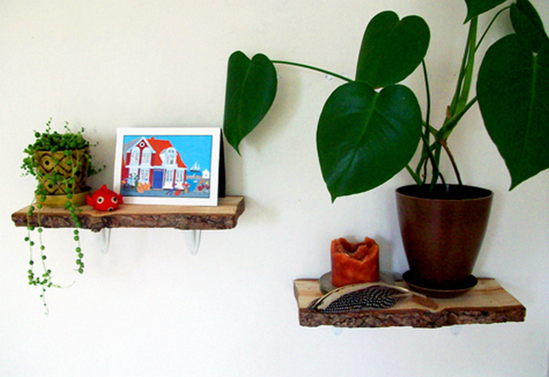 27 Rachel’s Rustic Log Shelves